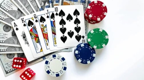 bet 81 bet 81