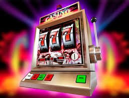 bet 81 bet 81